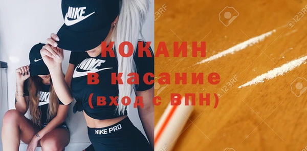 сатива Дмитриев