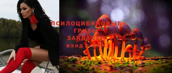 соль ск Ельня