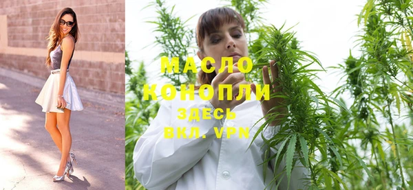 соль ск Ельня