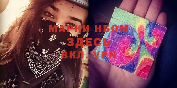 сатива Дмитриев