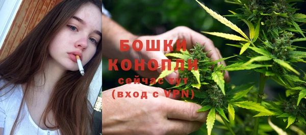 соль ск Ельня