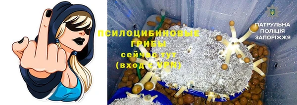 сатива Дмитриев