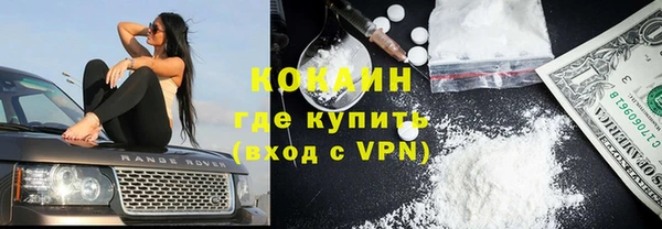 соль ск Ельня