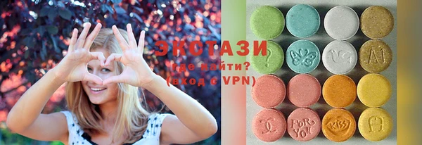 соль ск Ельня