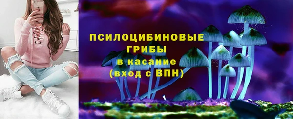 кокс Дмитров