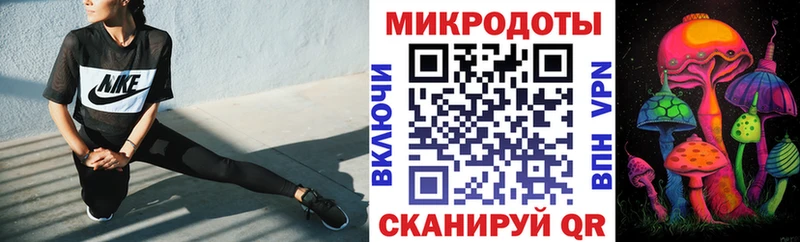 где можно купить Курган Галлюциногенные грибы Cubensis